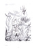 Ilustrace