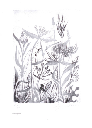 Ilustrace
